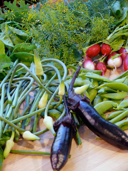 First of the Garden Meals, 2010