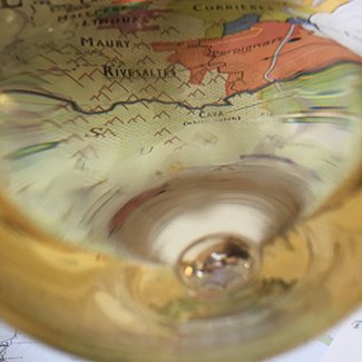 Terroir seen through a wine glass