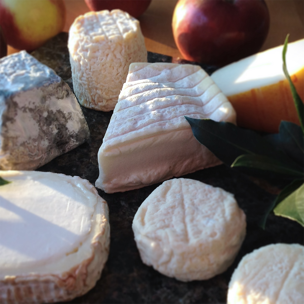 Six Delectable French Goat Cheeses, With French Wines to Pair – Terroir  Review