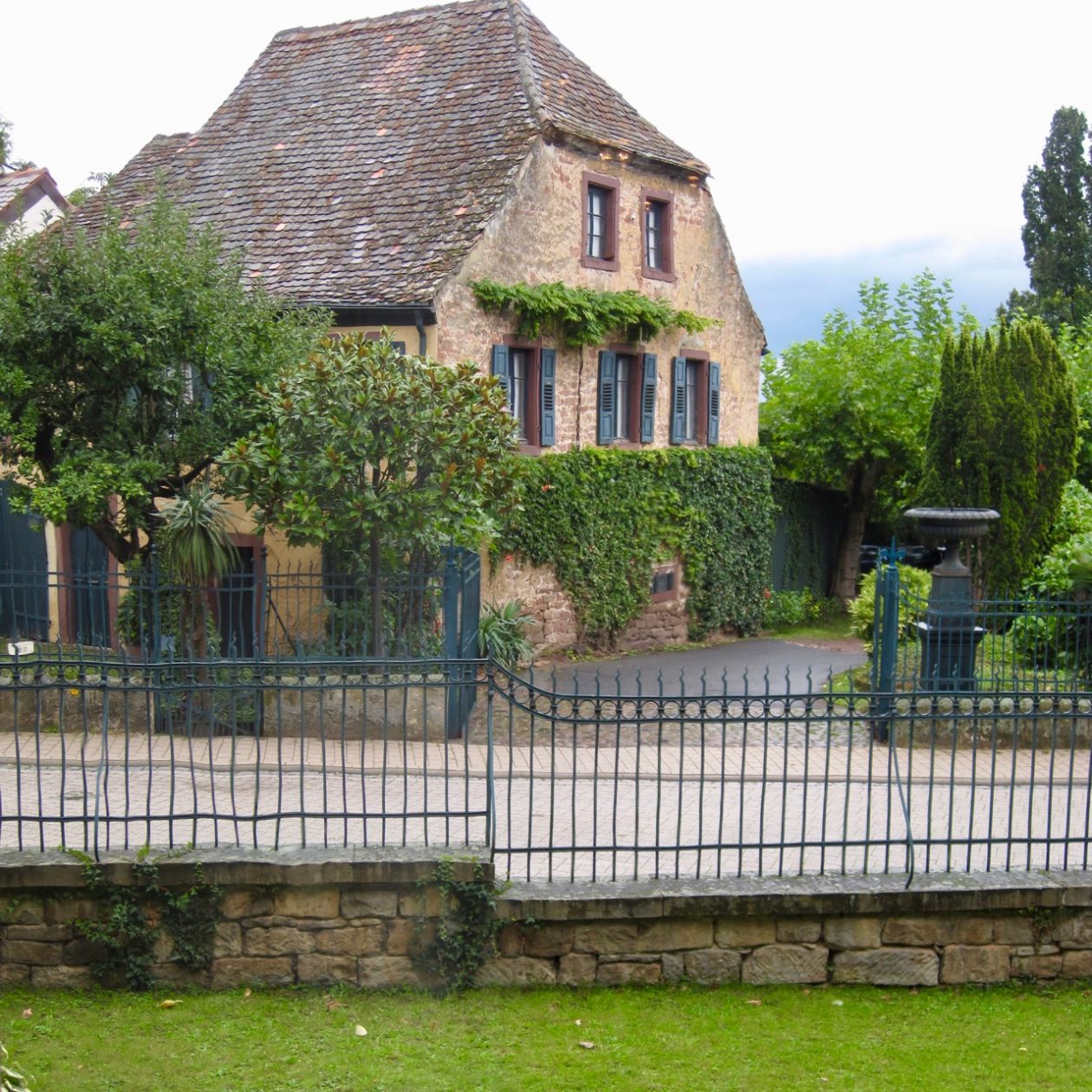 The view from the window at Müller-Catoir