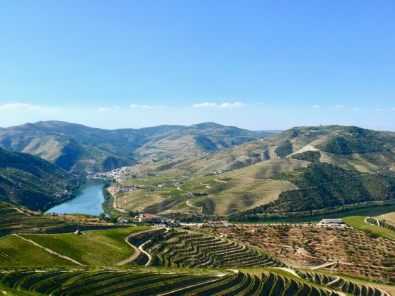 Barefoot in the Douro