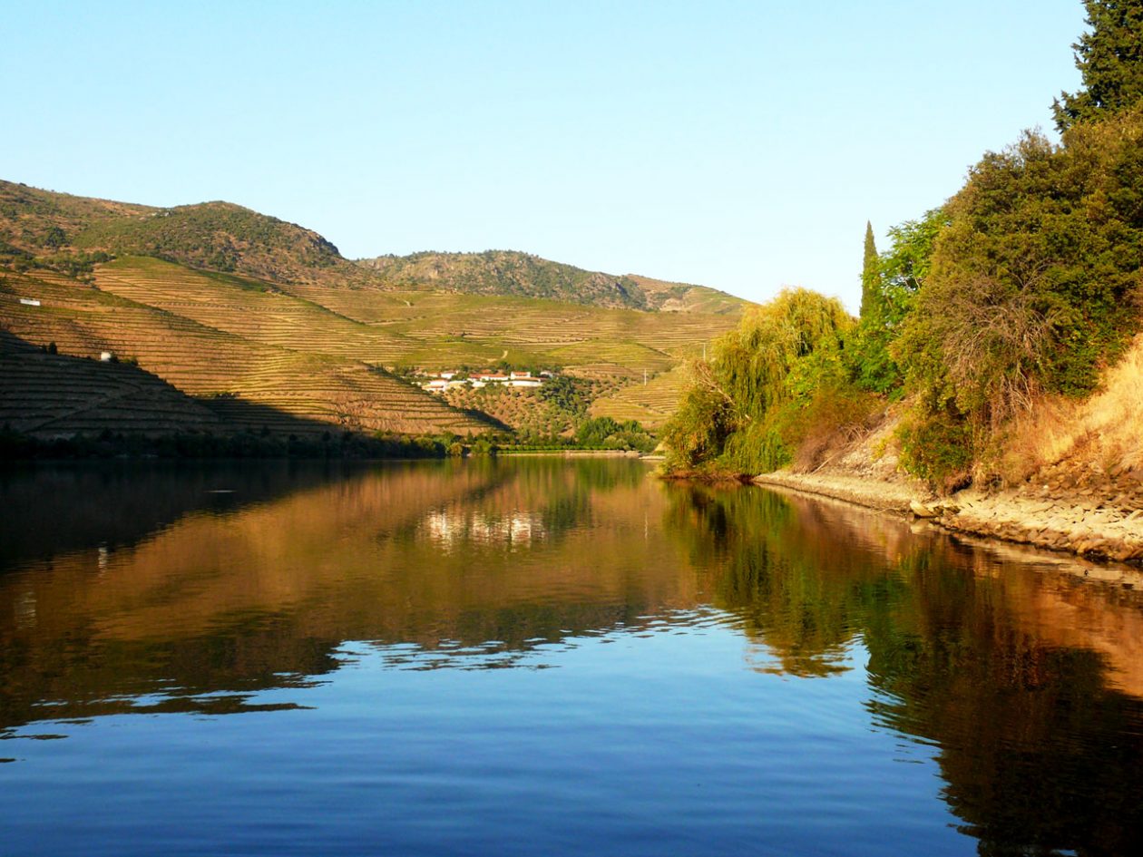 Evening on the Douro river