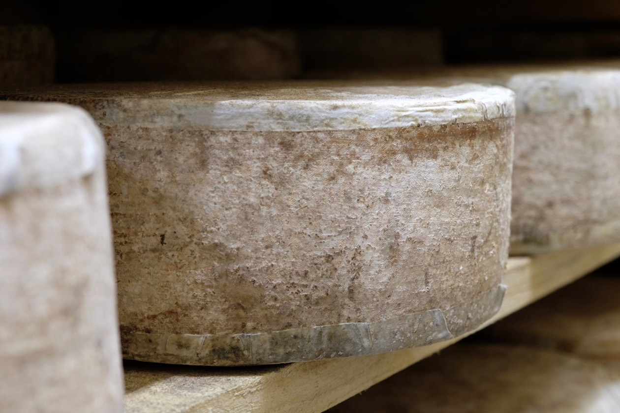 Cabot Clothbound Cheddar aging at Cellars at Jasper Hill