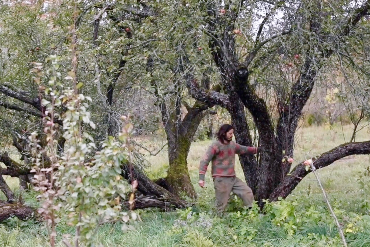 Christopher Piana with ancient apple trees at Fable Farm