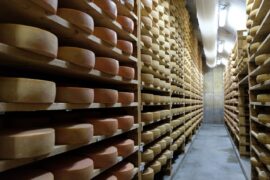 cheeses aging at Jasper Hill Farm