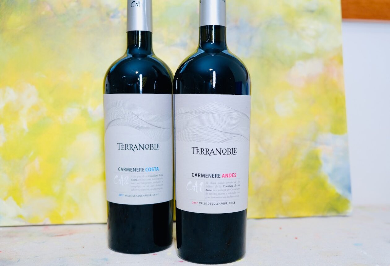 Terranoble Carménère CA2 Costa and CA1 Andes bottlings 