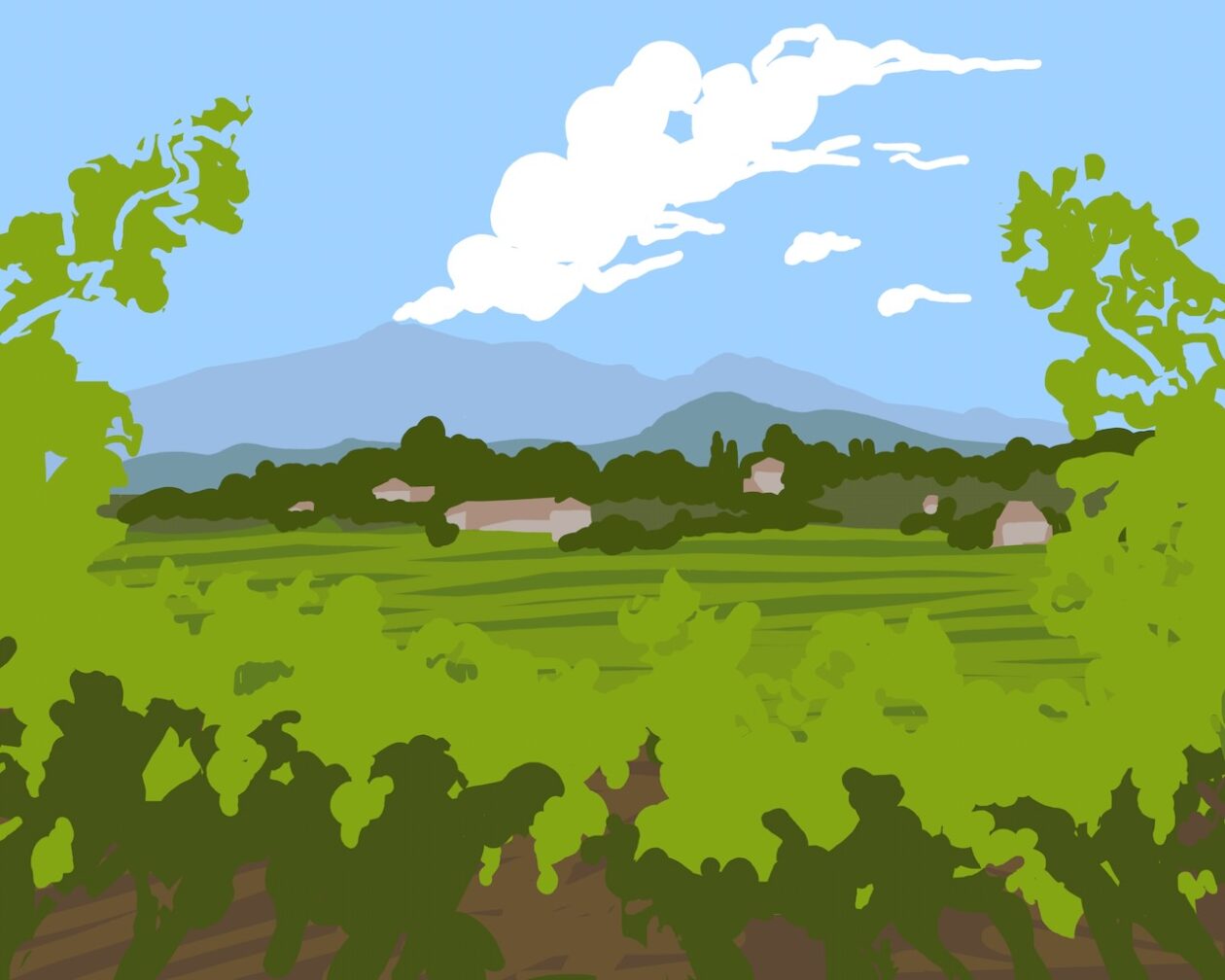 Drawing of Mt. Etna, steaming, as seen through the vine rows