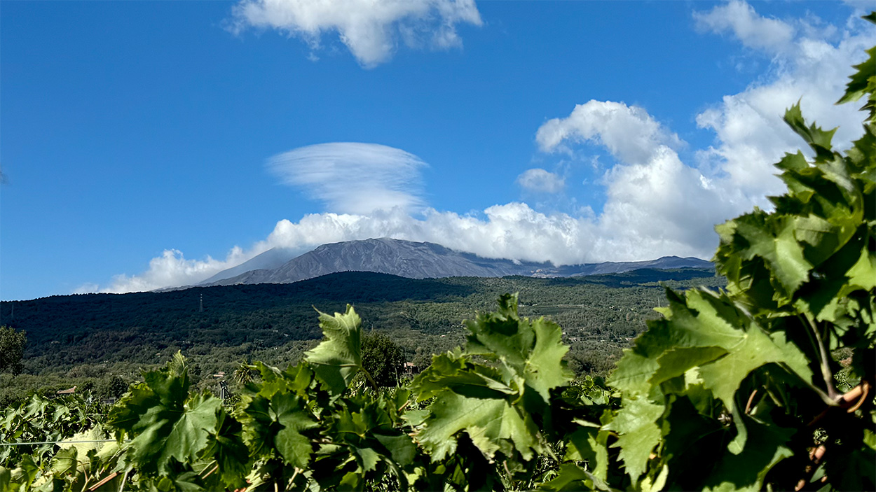 Landscape view with Mt. Etna framed against a blue sky. There are white clouds above it, and in the foreground rolling hills and grapevines