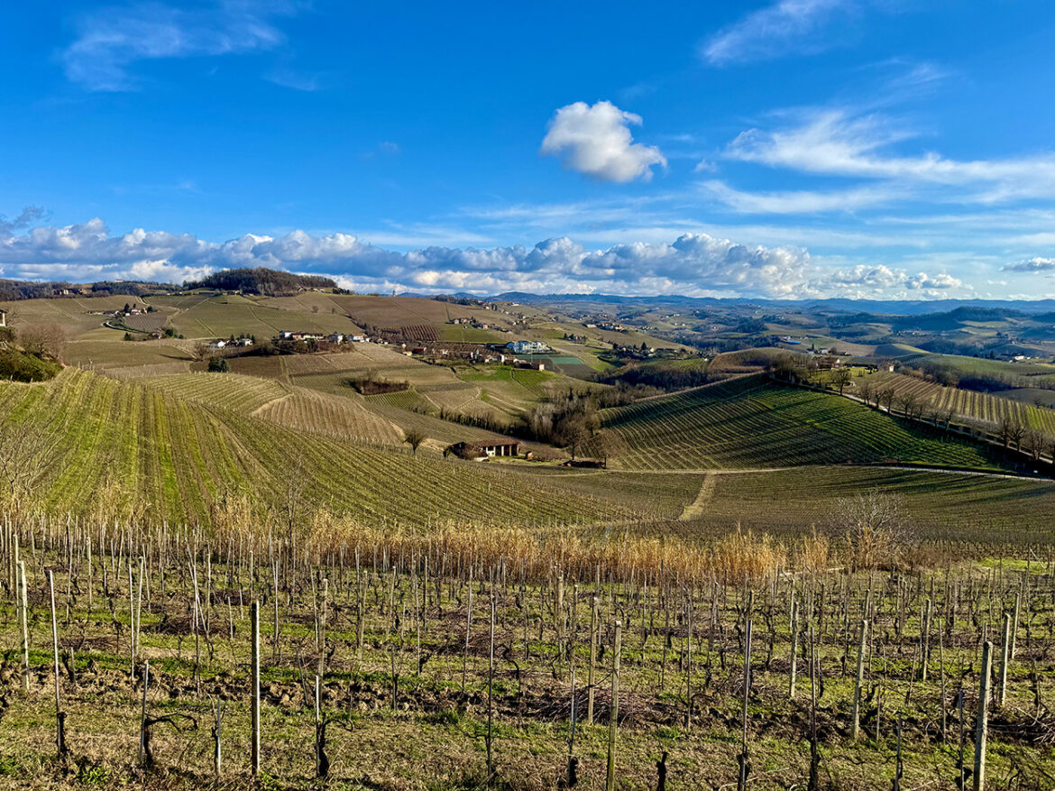 Barolo landscape